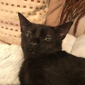 Meet your Posher, Betsy